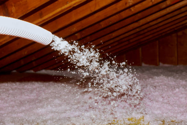 Best Insulation Maintenance and Repair in Lexington, MN