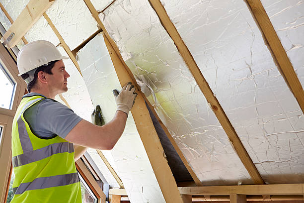 Best Cellulose Insulation in Lexington, MN